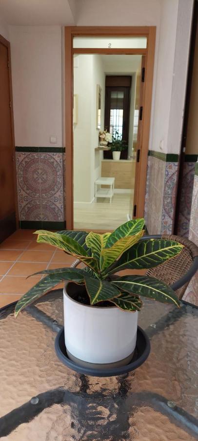 Cordvba Osario Centro Lejlighed Córdoba Eksteriør billede